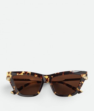 Bottega Veneta Classic Acetate Cat Eye Naisten Aurinkolasit Kultaiset Ruskea | SN-BTGV594783