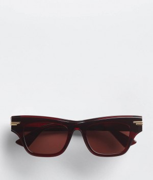 Bottega Veneta Mitre Acetate Cat Eye Miesten Aurinkolasit Viininpunainen | SN-BTGV595775