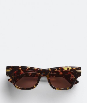 Bottega Veneta Mitre Acetate Cat Eye Miesten Aurinkolasit Ruskea | SN-BTGV595777