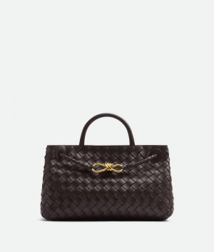 Bottega Veneta Small East/West Andiamo Naisten Kangaskassit Syvä Ruskea | SN-BTGV593594