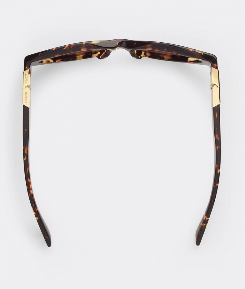 Bottega Veneta Angle Acetate Cat-eye Naisten Aurinkolasit Ruskea | SN-BTGV594758