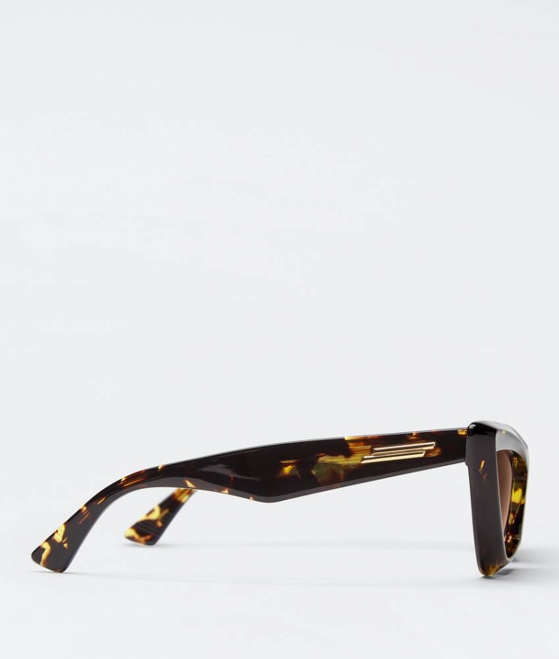 Bottega Veneta Angle Acetate Pointed Cat Eye Naisten Aurinkolasit Ruskea | SN-BTGV594750