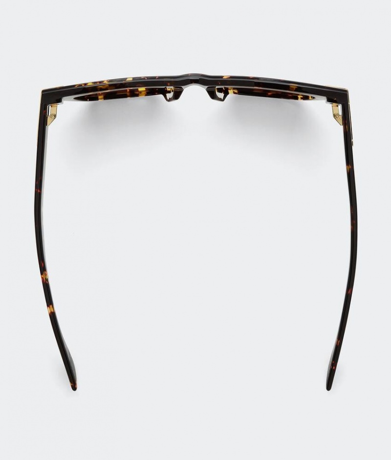 Bottega Veneta Mitre Acetate Cat Eye Miesten Aurinkolasit Ruskea | SN-BTGV595777