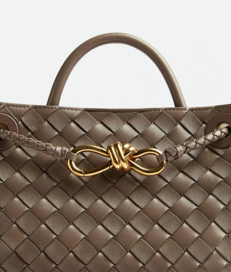 Bottega Veneta Small Andiamo Naisten Crossbody Laukut Harmaat Ruskea Harmaat | SN-BTGV593434