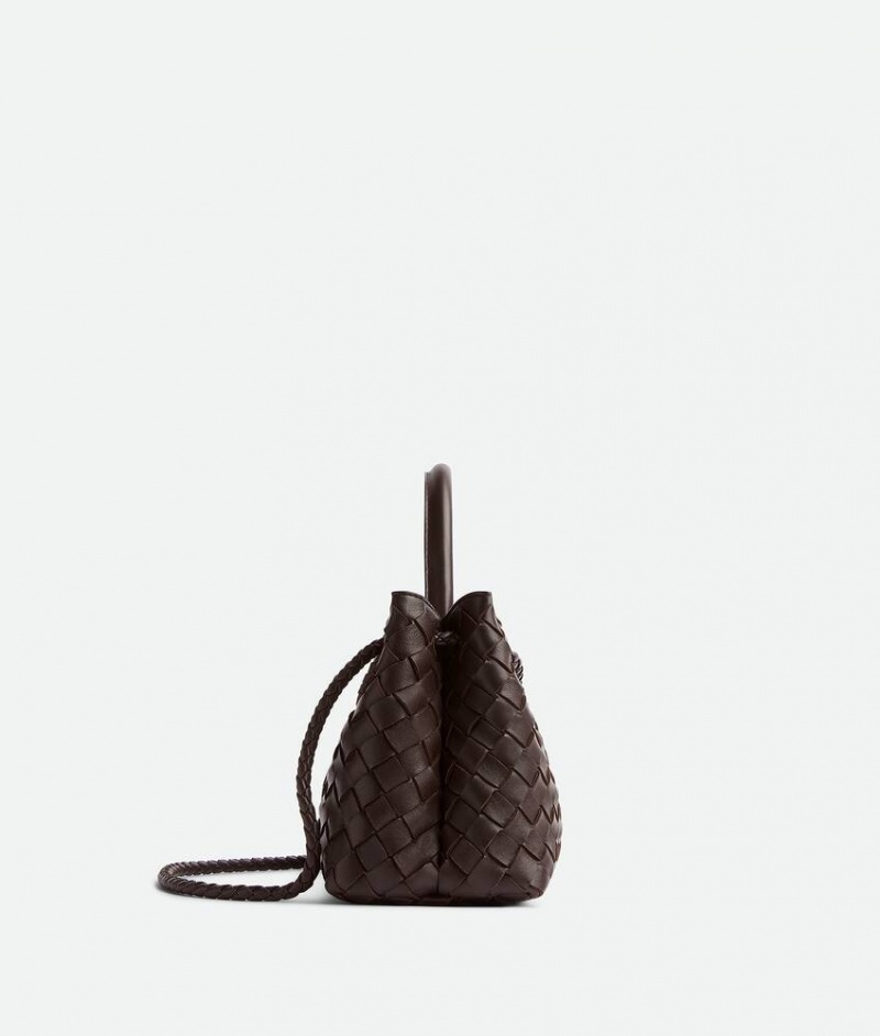 Bottega Veneta Small East/West Andiamo Naisten Kangaskassit Syvä Ruskea | SN-BTGV593594