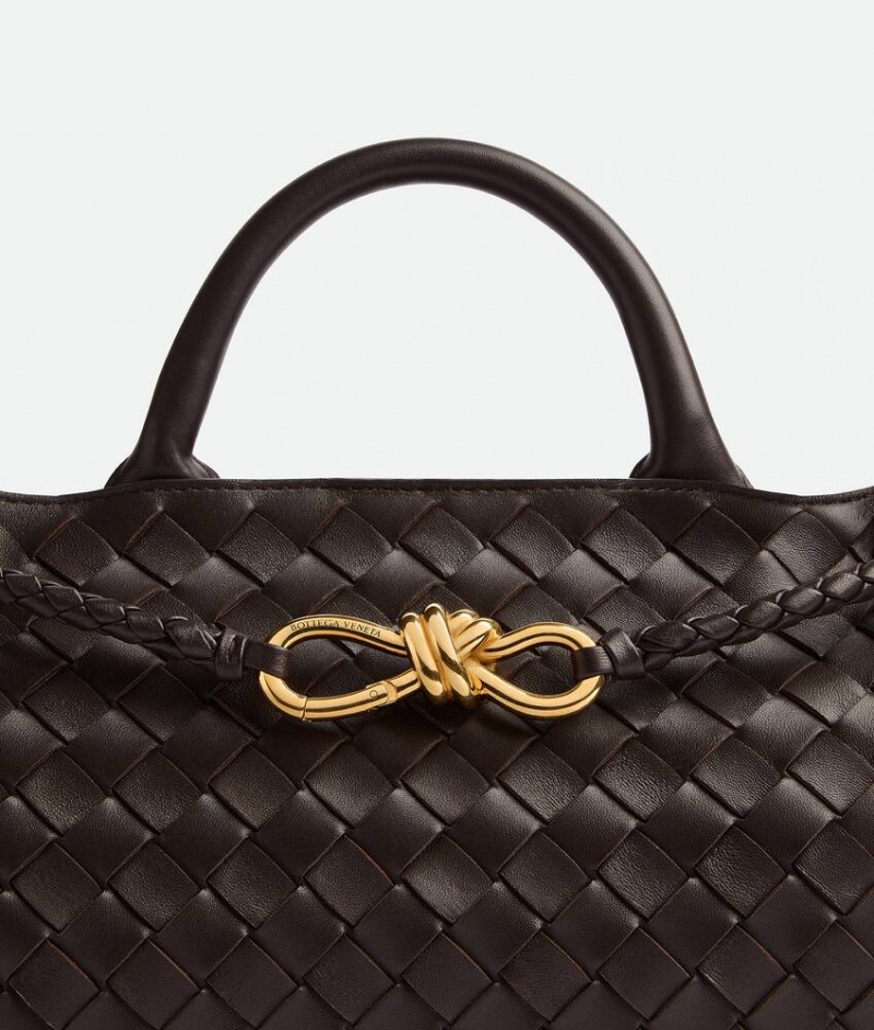 Bottega Veneta Small East/West Andiamo Naisten Kangaskassit Syvä Ruskea | SN-BTGV593594