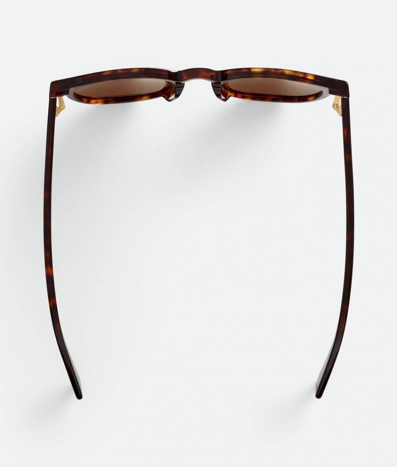 Bottega Veneta Soft Recycled Acetate Panthos Naisten Aurinkolasit Ruskea | SN-BTGV594779